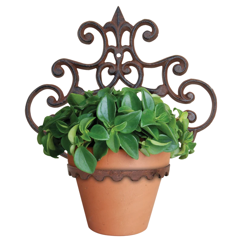 Plantenhanger 1 pot
