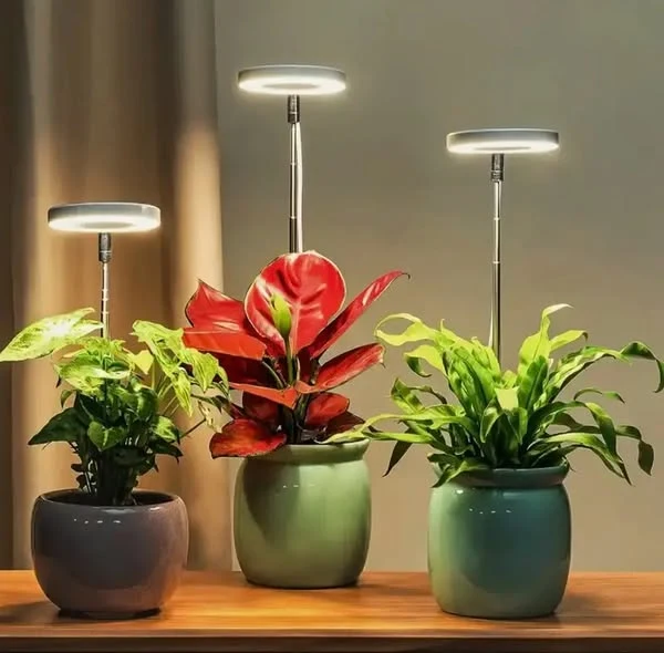 LumaGroei LED Plantenlamp met Timer en Dimbare Verlichting