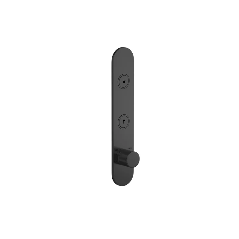 Hotbath Cobber PB066EXT afbouwdeel voor inbouw thermostaat met 2 pushbuttons - Geborsteld Zwart PVD