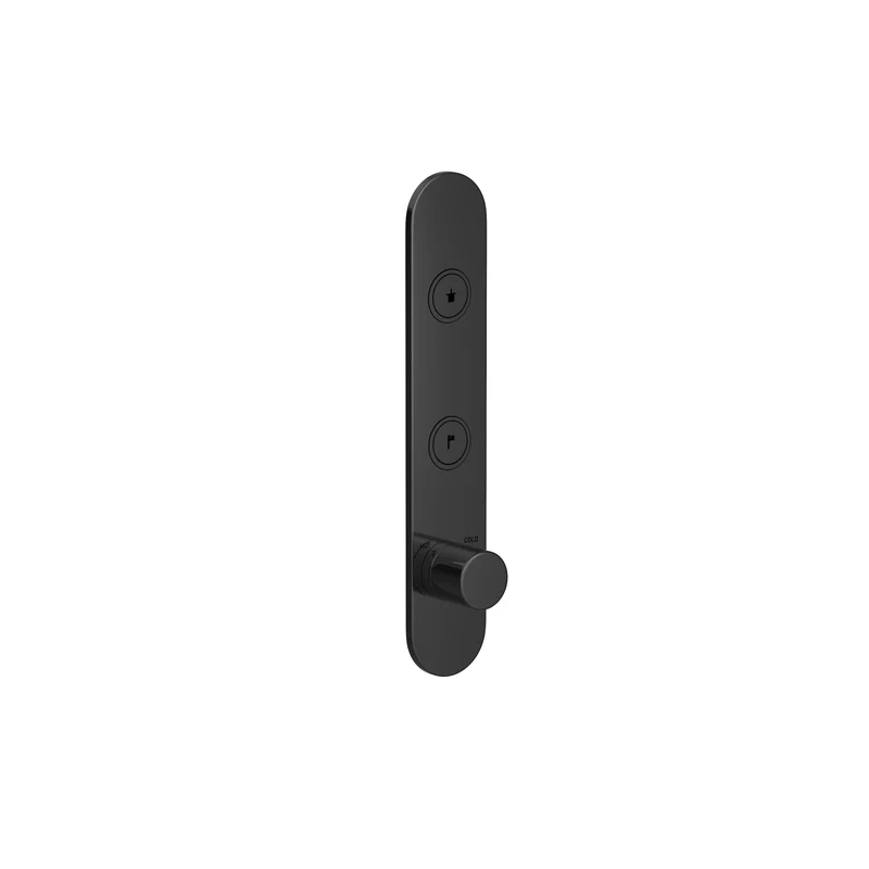 Hotbath Cobber PB066EXT afbouwdeel voor inbouw thermostaat met 2 pushbuttons - Gepolijst Zwart PVD