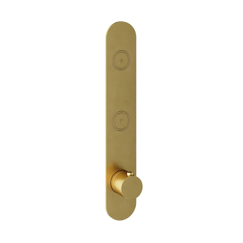 Hotbath Cobber PB066EXT afbouwdeel voor inbouw thermostaat met 2 pushbuttons - Geborsteld Messing PVD