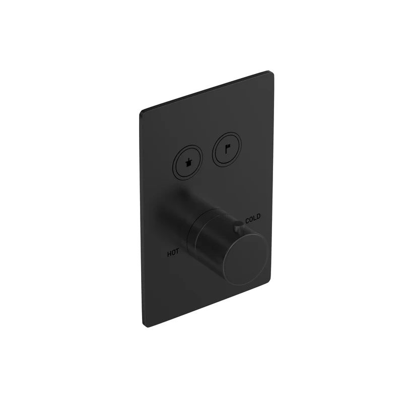 Hotbath Cobber PB009QEXT afbouwdeel voor inbouw thermostaat met 2 pushbuttons - Geborsteld Zwart PVD