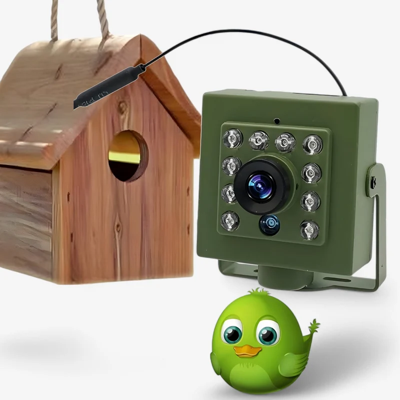 WLAN Vogelcamera HD - Weerbestendig & Nachtzicht voor Buiten