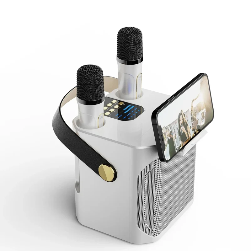 Krachtige Draagbare Bluetooth Karaoke Speaker - 360° Surround