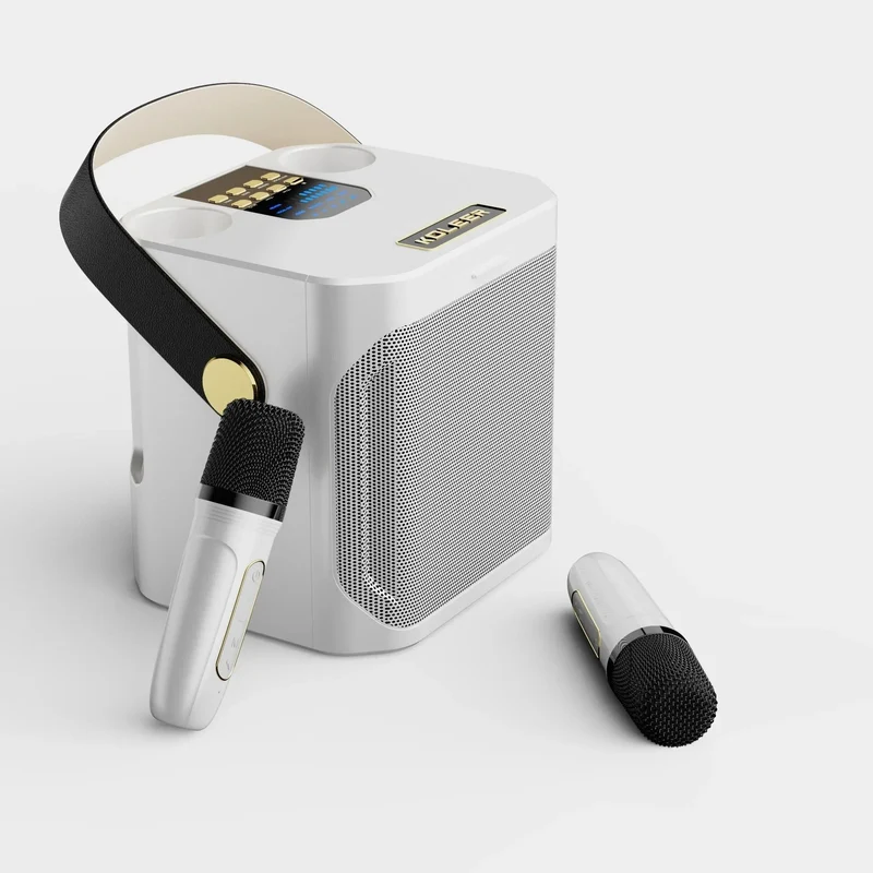 Krachtige Draagbare Bluetooth Karaoke Speaker - 360° Surround