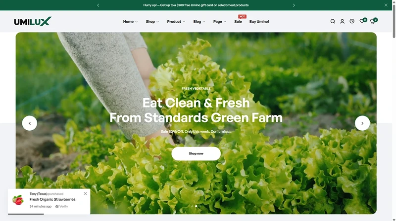 Umino Theme – Organic Foods | Organic Food & Drinks