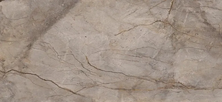 Apavisa, Wild Forest - Grey Mix, Polished, 120x260cm, 6.00mm, Not rectified