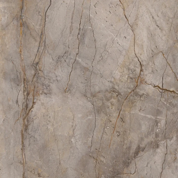 Apavisa, Wild Forest - Grey, Polished, 60x60cm, 7.00mm, Rett.