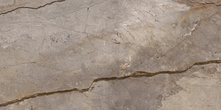 Apavisa, Wild Forest - Grey, Polished, 60x120cm, 7.00mm, Rett.