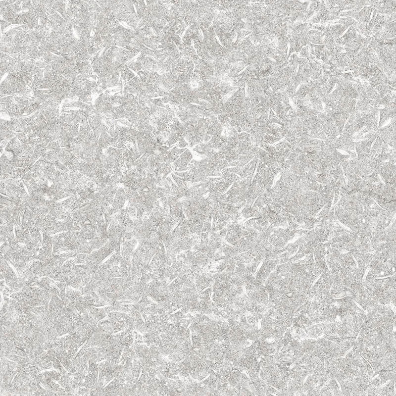 Apavisa, Track - Grey, Naturale, 59.55x59.55cm, 10.00mm, Rett.