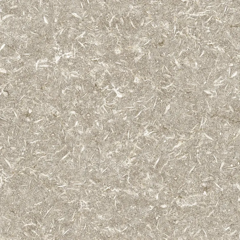 Apavisa, Track - Beige, Naturale, 59.55x59.55cm, 10.00mm, Rett.