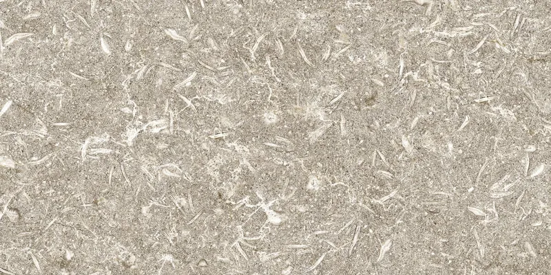 Apavisa, Track - Beige, Naturale, 49.75x99.55cm, 10.00mm, Rett.