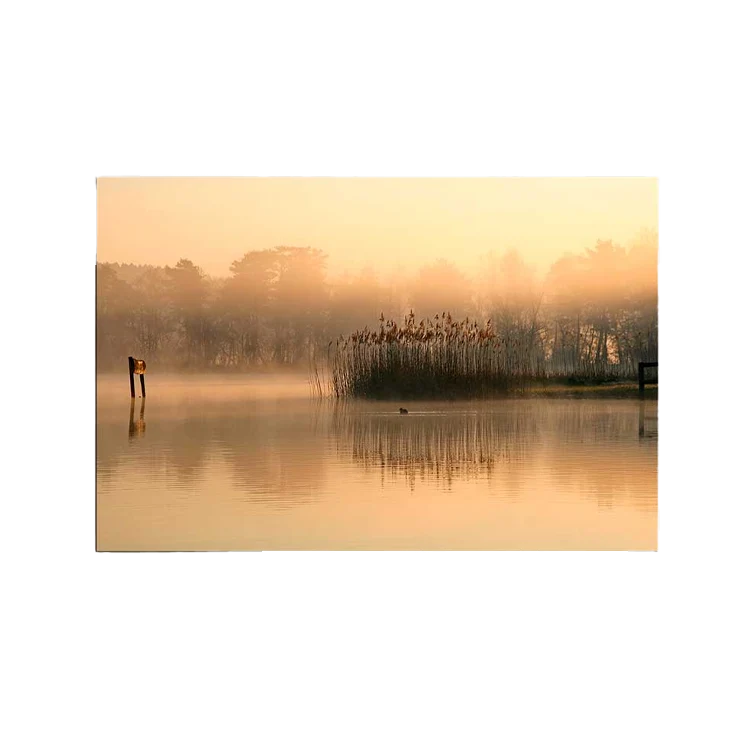Infrarood verwarmingspaneel met print 360 Watt | 40x120cm
