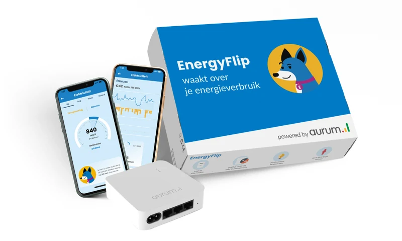 Energiemeter EnergyFlip